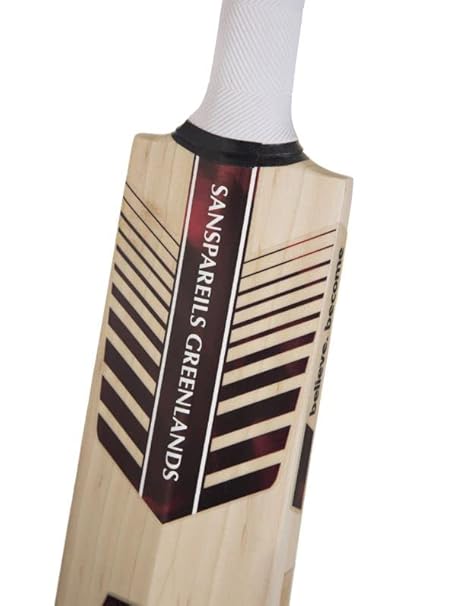 SG English Willow Cricket Bat – Premium Edition - Image 3